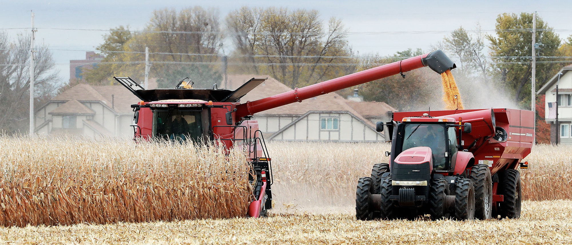 102219_Local Harvest001_bjs.JPG